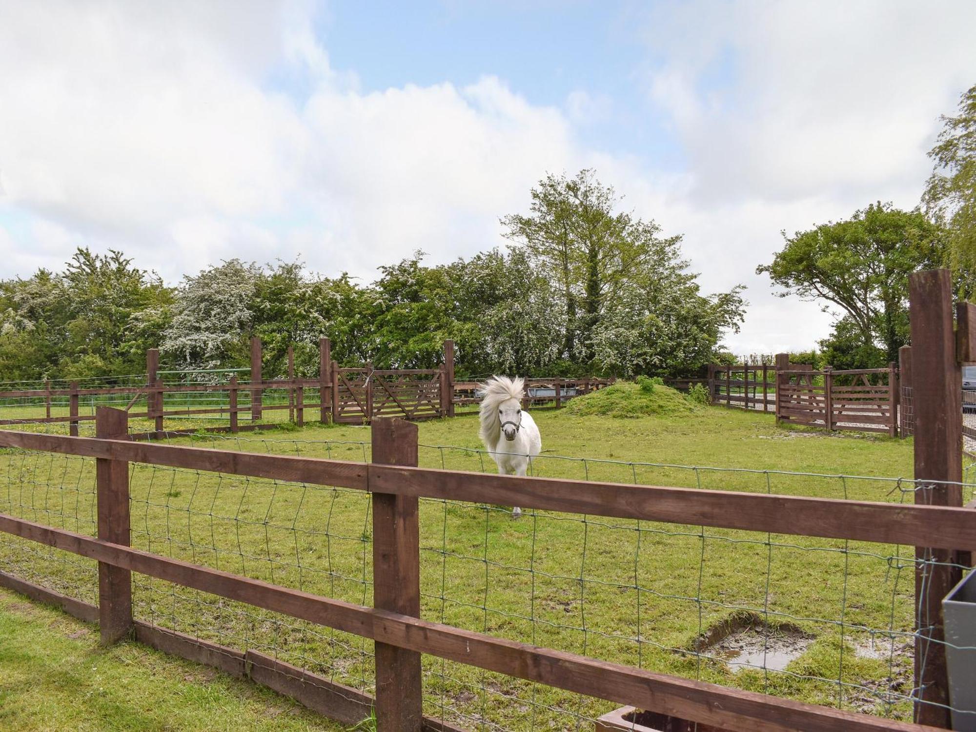 The Willows Holiday home *